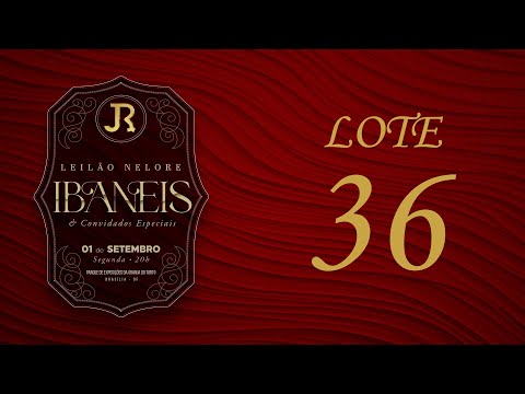 LOTE 36   IRBJ 1265