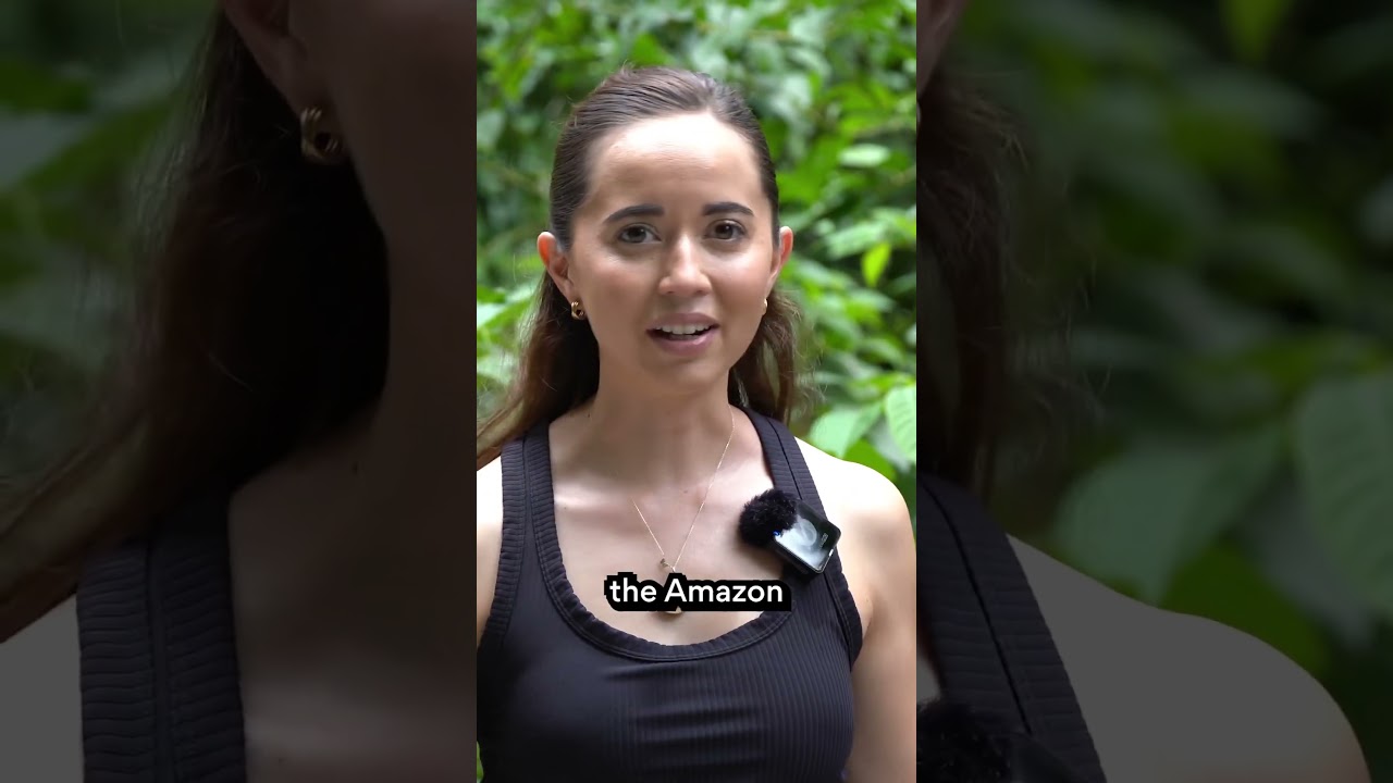 "The jungle doesn't need us, we need the jungle" 🌎💚 #shorts #amazonrainforest #conservation #maya