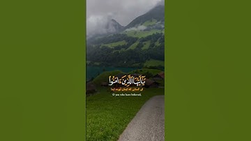 قرآن كريم 🤍#قرآن #قران_كريم #راحة_نفسية #حالات_واتس #اكسبلور #القارئ_ياسر_الدوسري