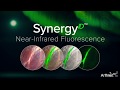 Synergyid teaser