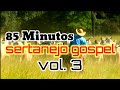 Sertanejo gospel vol3  pra alegrar sua alma