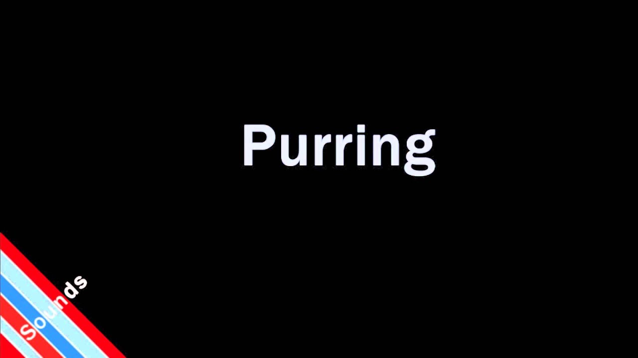 How to Pronounce Purring YouTube