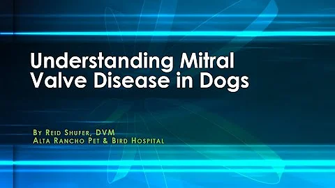 Understanding Mitral Valve Disease in Dogs - DayDayNews