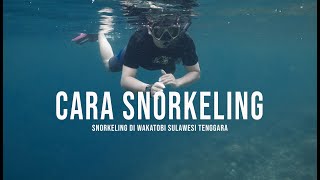 Tips Snorkeling - Berenang - Freedive di Wakatobi Sulawesi Tenggara, Begini Cara dan Tips Snorkeling