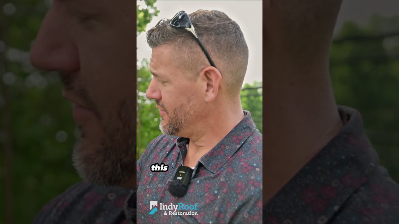 Are Tree Branches Damaging Your Roof? 