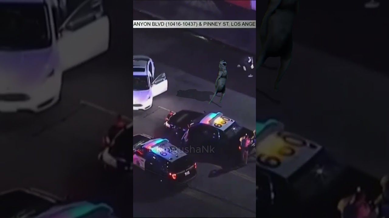 The Last Demon and Wolf Dance 