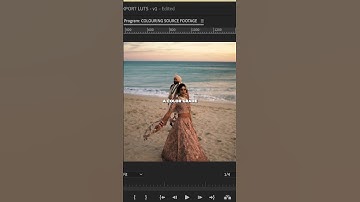 These 3 COLOUR TIPS Are ESSENTIAL in Premiere Pro!!
