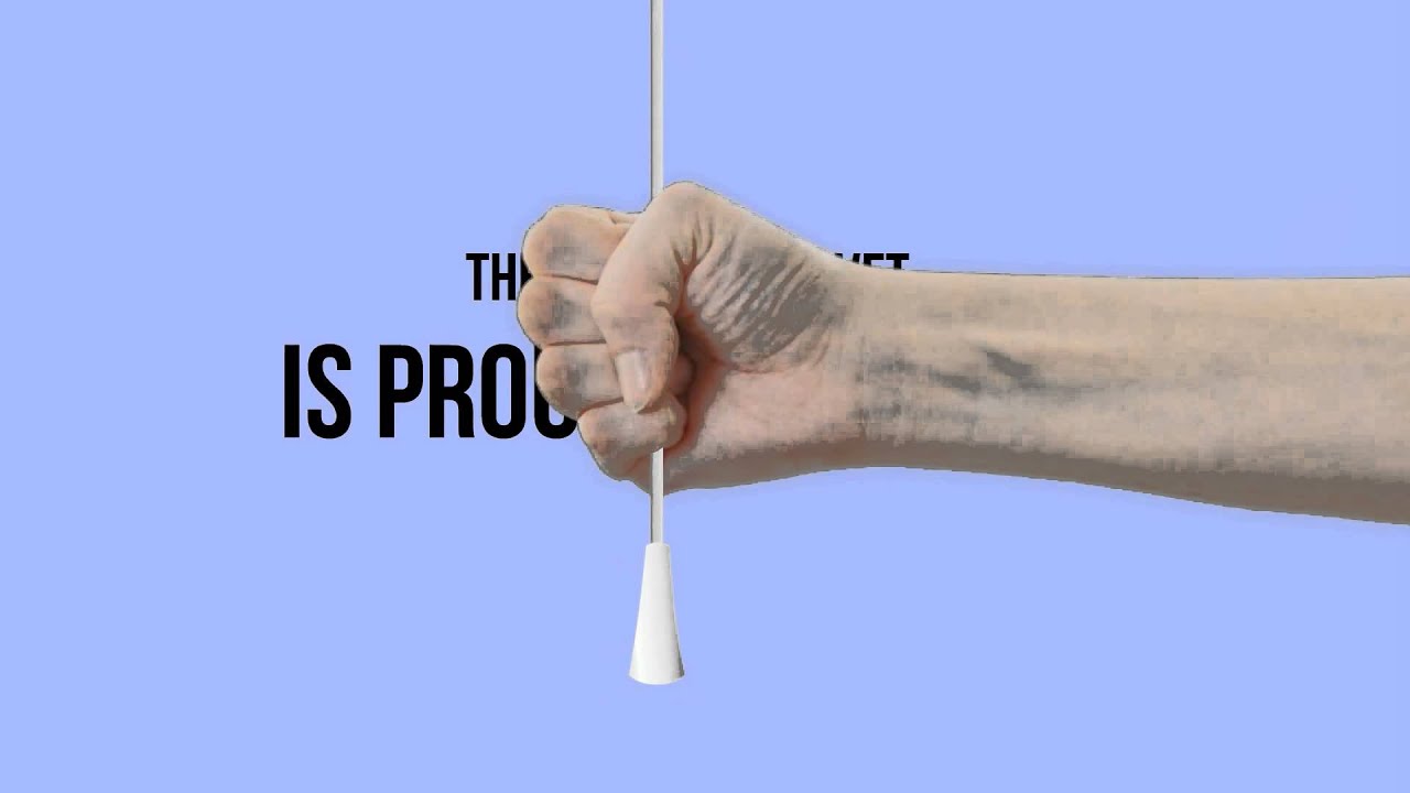 Denton Veterinary Center Vets in Denton Tx YouTube