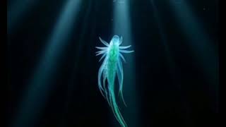 Scientists Found Something Terrifying at the Bottom of the Ocean…