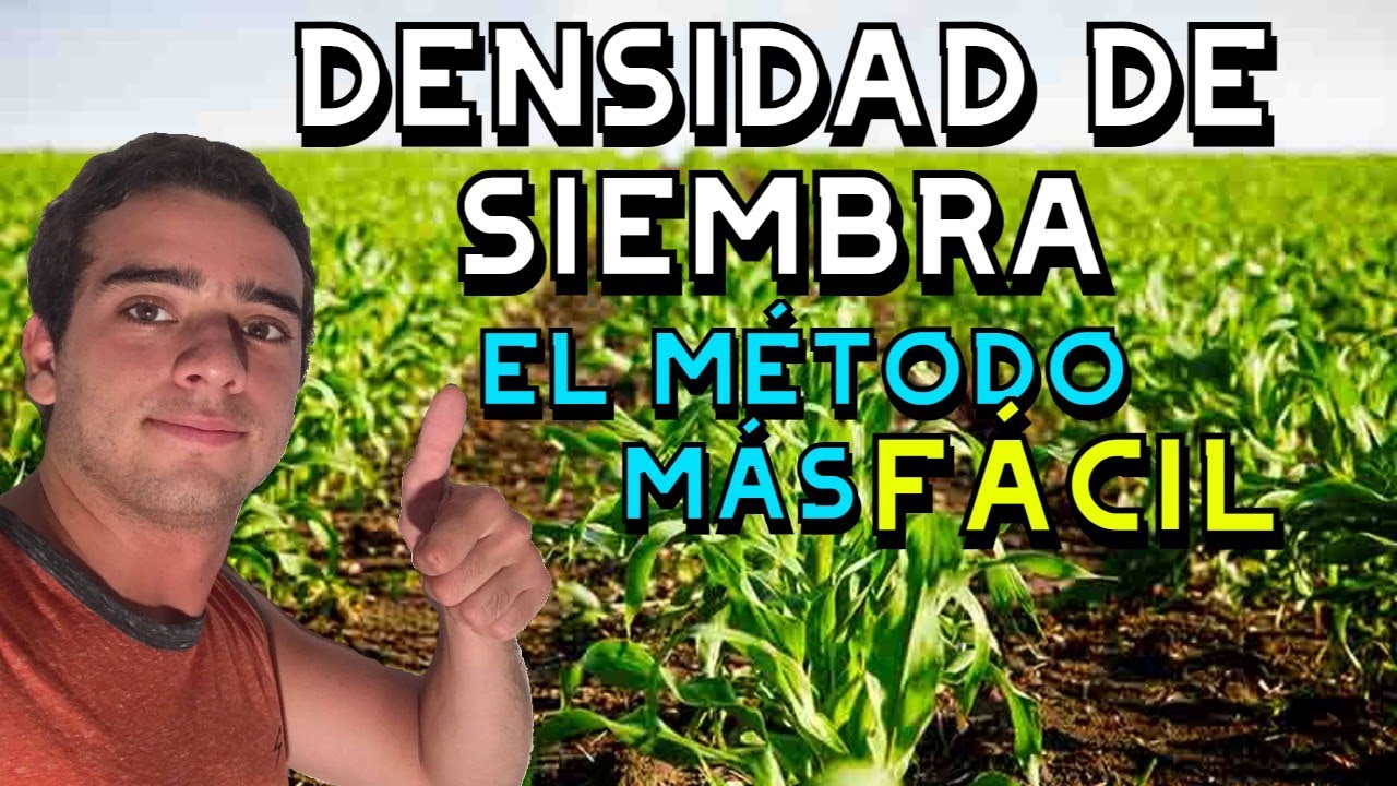 Calculo De La Densidad De Siembra www.youtube.com