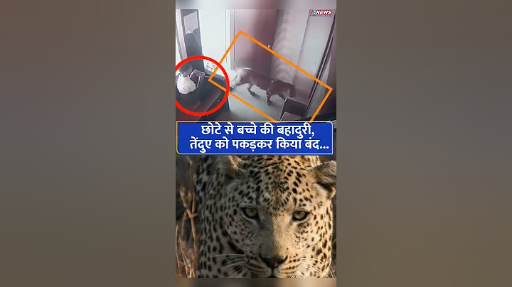 Incredible bravery: 12-Year-Old Boy Saves Entire Village from Leopard Attack in Nashik. #a9news