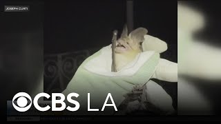 LA scientist working to debunk myths surrounding bats with educational tours