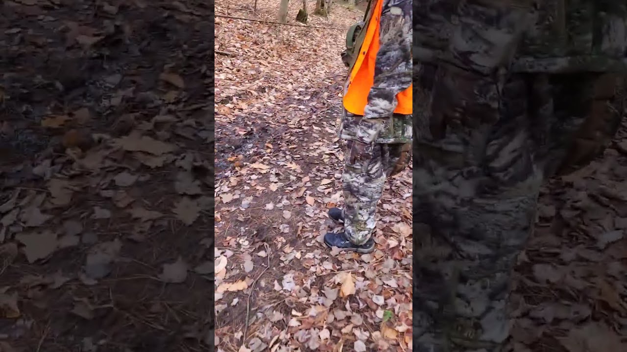 deer hunting Ontario