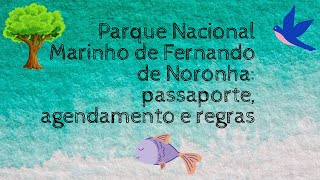Parque Nacional Marinho de Fernando de Noronha: Passaporte e agendamentos