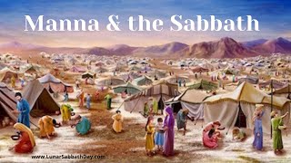 Manna & the Sabbath