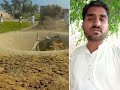بیلوں کی روایتی ٹریننگ! پاکستان کے دیہی کلچر کی انوکھی جھلک 🐂