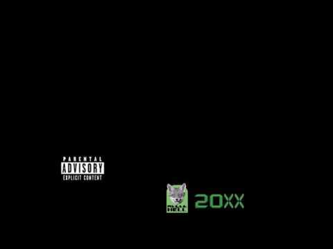 THE CHRONIC 20XX