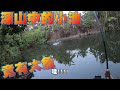 隱藏在深山當中的小水池!會有什麼魚呢?釣到池主我都嚇壞了