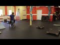 Leash Training Anxious Dog | Training a Dog to Focus Leash Training Anxious Dog | Training a Dog to Focus