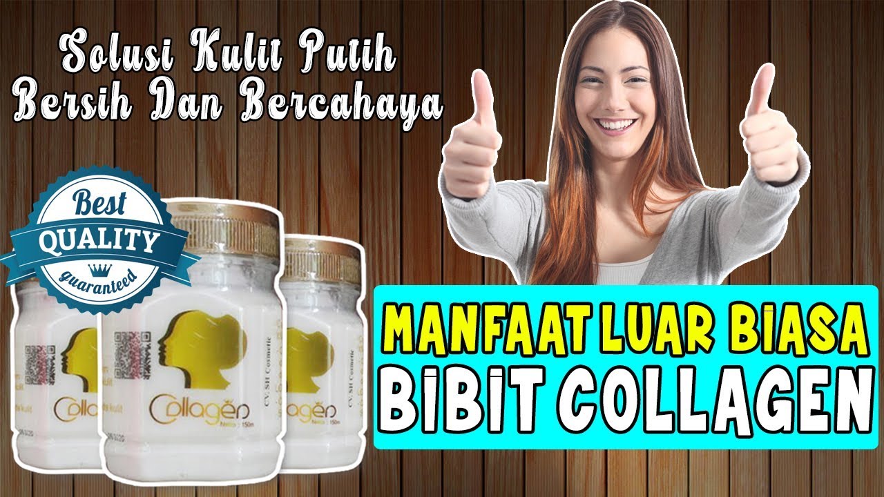 WA 082231777788 Ini Dia Manfaat Bibit Collagen Asli Yang Masih Belum