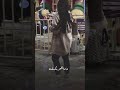 شيرين 2026 اغنيه تباعا تباعا