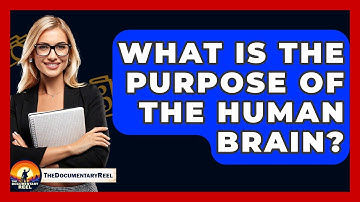 What Is The Purpose Of The Human Brain? - The Documentary Reel
