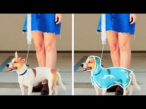 Video: Come Realizzare Un Costume Da Gatto Fai Da Te