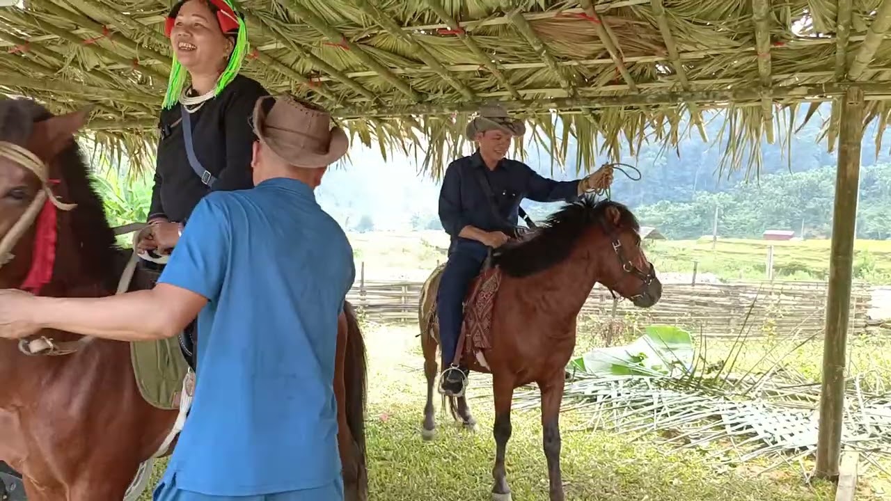 Gặp Bạn ở trên đồng văn xuống chợ hát giao duyên #hatdaovungcao #yenloan #tadatcaobo 