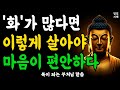 화가 난다면 이렇게 살아야 마음이 편안하다ㅣ부처님 말씀ㅣ불교 명언ㅣ석가모니 가르침ㅣ반야심경