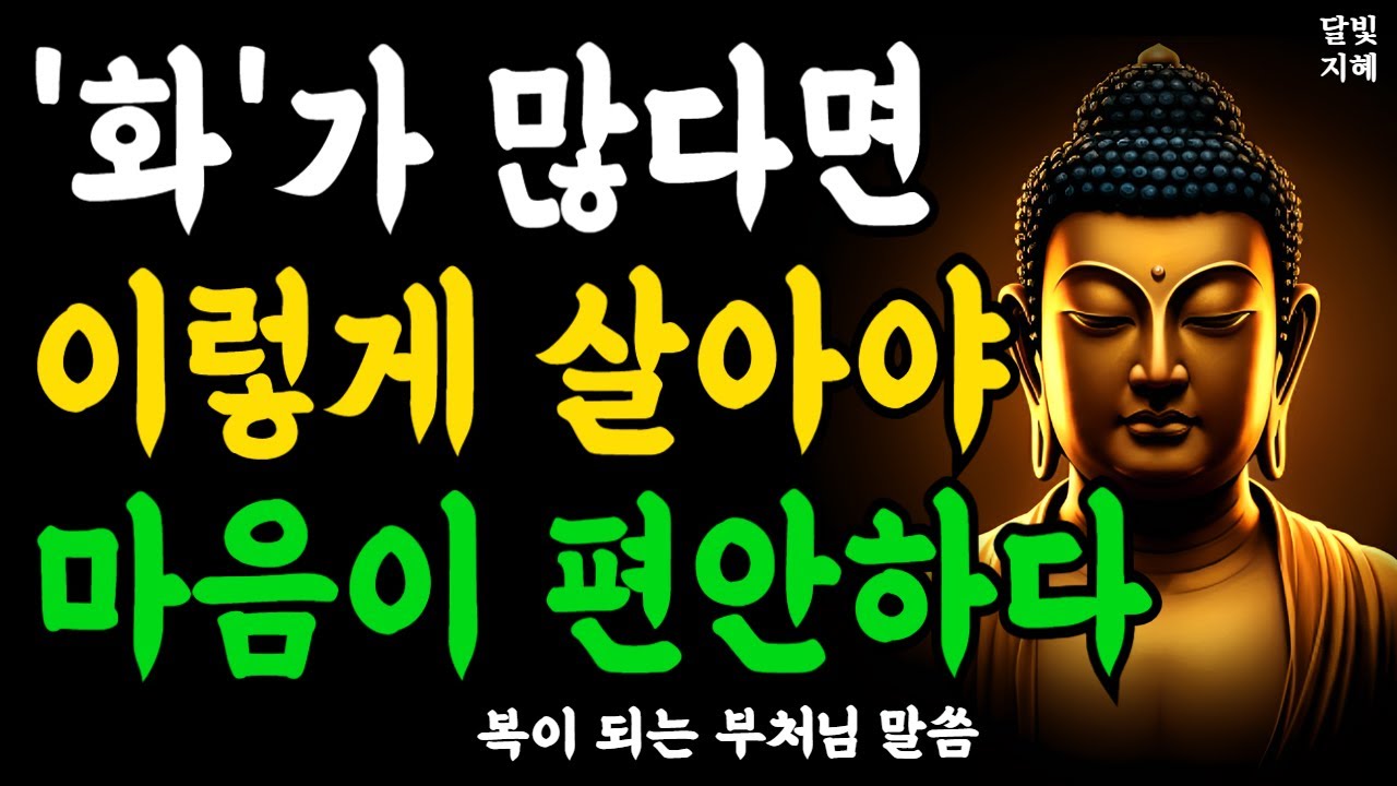 화가 난다면 이렇게 살아야 마음이 편안하다ㅣ부처님 말씀ㅣ불교 명언ㅣ석가모니 가르침ㅣ반야심경