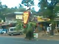 Elephant Attack in Umayanalloor New Video