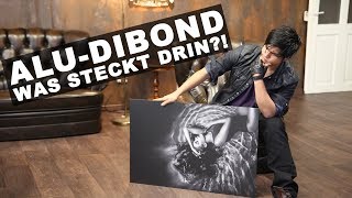 Alu Dibond Butlerfinish Edelstahl Geburstet