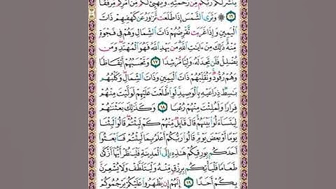 295   تلاوة الصفحة رقم 295 سورة الكهف وإذ اعتزلتموهم وما يعبدون إلا الله فأووا