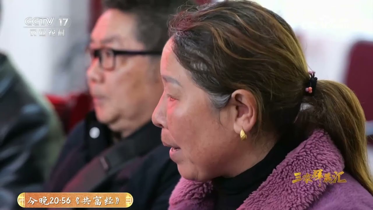 《三农群英汇》 20250624 田间十二时辰——写给土地的情书 | 农业致富经 Agriculture And Farming