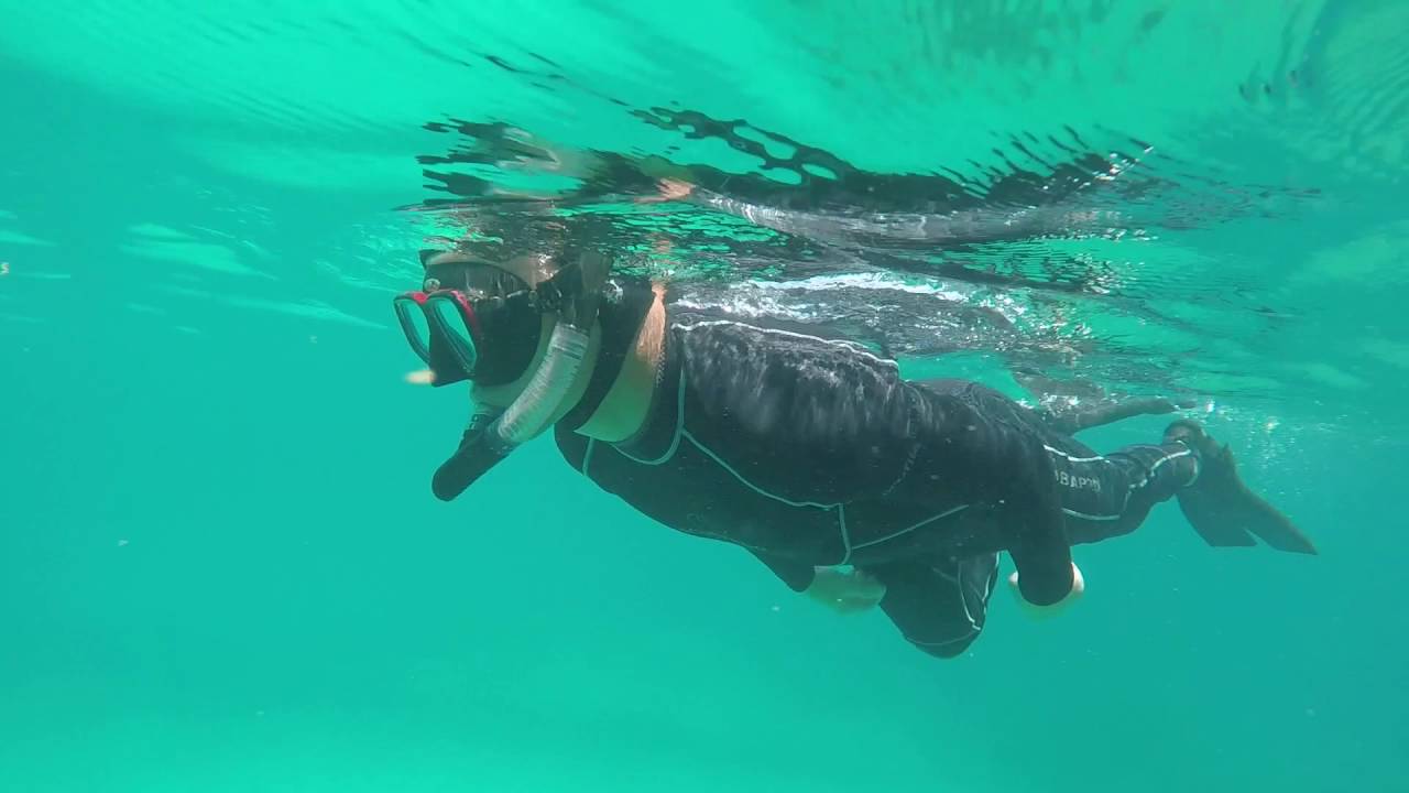 Snorkeling in the Dry Tortugas