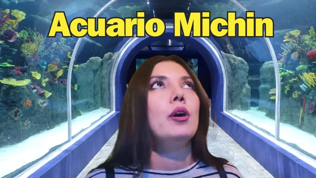 ACUARIO MICHIN 🐠 El MÁS GRANDE de Latinoamérica |CDMX| - YouTube