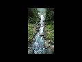 Waterfall of Neidong National Forest Recreation Area vol.2-內洞國家森林遊樂區瀑布vol.2