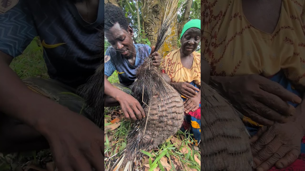 Respect indigenous traditions 