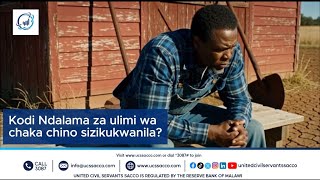 Konzekerani panopa kuti mudzakolole zochuluka.