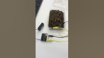 Microbit measuring the moisture level in soil