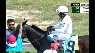 JAMAICA RACING: Lucy On The Go Hangs Tough In Sun, Nov 23, 2025, 2nd