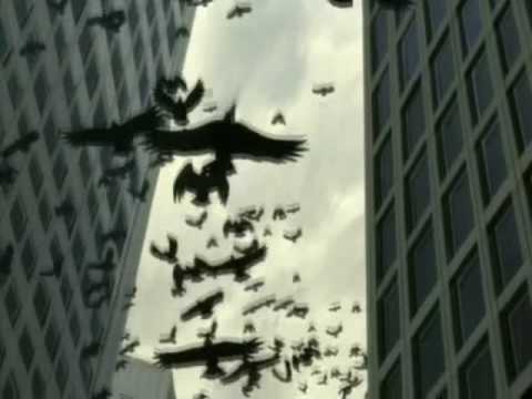 amv varios anime