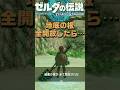 【ゼルダ ティアキン】地底の破魔の根を全開放 ゼルダの伝説 ティアーズオブザキングダム The Legend of Zelda: Tears of the Kingdom