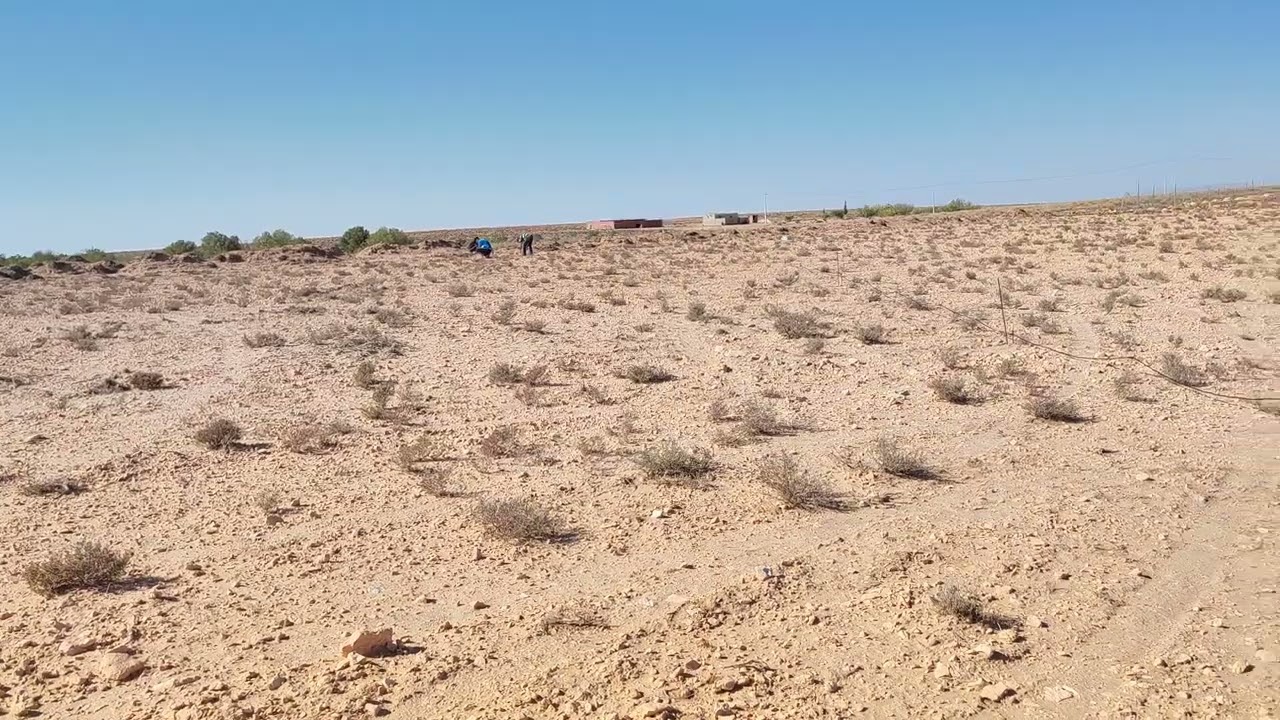 la cinquième opération de nous a bir elater a wilaya de tebessa (2)