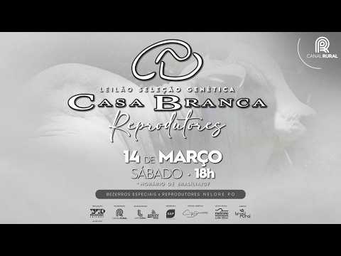 LOTE 111   C3966 DA EAO   EAO C3966