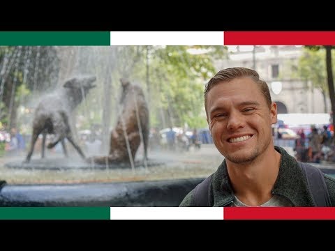 Coyoacán: Our Favorite Neighborhood in Mexico City! 🇲🇽