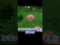 マイクラコマンド勢あるある4選！ #minecraft #マインクラフト #マイクラ #ゆっくり #minecraft #ゆっくり解説