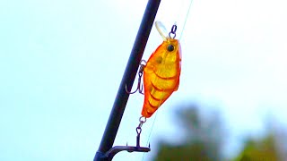How To Catch Your First Fish On A Lure (Hardbody Crankbait)!