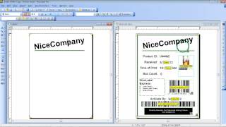 NiceLabel Pro: Label design training webinar