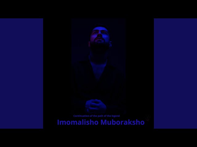 Nigohi tu